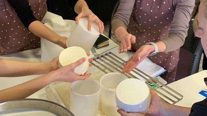 КУРС №2 - ФЕТА, КВАРК, СУЛУГУНІ