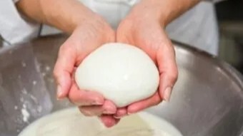 МОЦАРЕЛА ДОЛЬЧЕ (ВІЛЬНИЙ ДОСТУП)