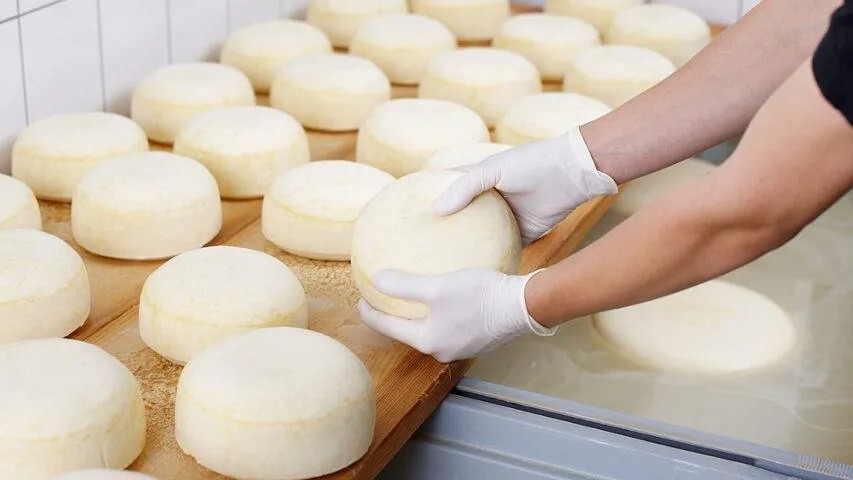 КУРС №1 - ПРІМА САЛЕ, КАЧОТА, ХАЛУМІ