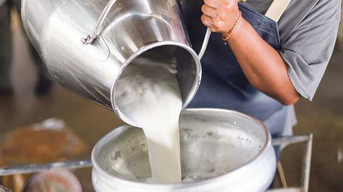 Модуль 1. Основи сироваріння