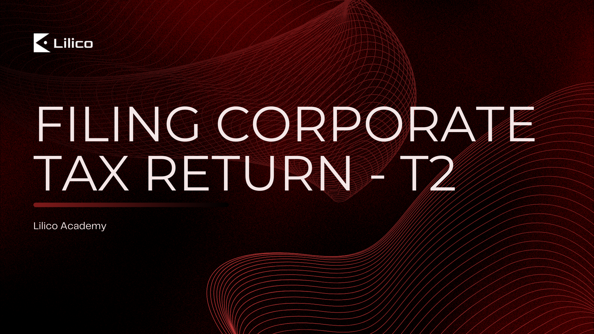 Filing Corporate Tax Return - T2