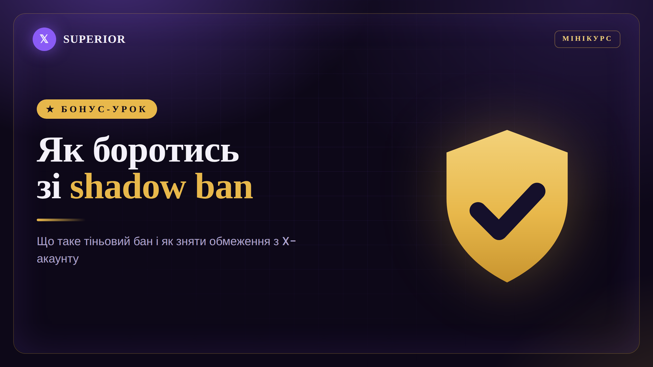 Бонус: Як боротись з shadow ban? (обмеження Х акаунту)
