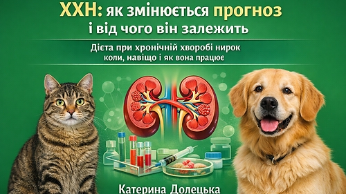 ОНЛАЙН ВЕБІНАР ХХН: ЯК ЗМІНЮЄТЬСЯ ПРОГНОЗ І ВІД ЧОГО ВІН ЗАЛЕЖИТЬ . Дієта при хронічній хворобі нирок: коли, навіщо і як вона працює 17 БЕРЕЗНЯ