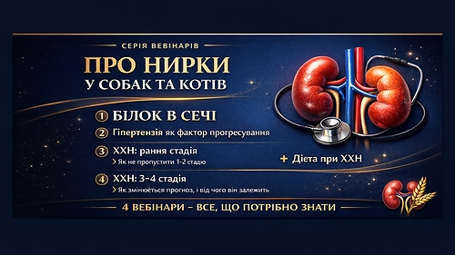 СЕРІЯ ОНЛАЙН ВЕБІНАРІВ ПРО НИРКИ