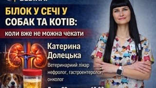 ОНЛАЙН ВЕБІНАР БІЛОК У СЕЧІ СОБАК ТА КОТІВ . КОЛИ НЕ МОЖНА ЧЕКАТИ 23.02.2026