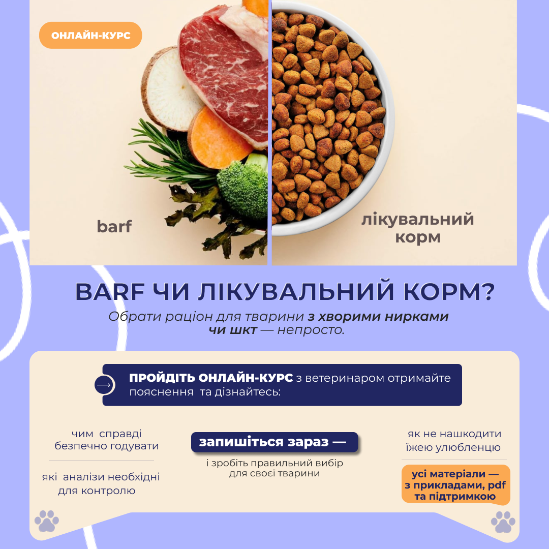 ОНЛАЙН КУРС "BARF ЧИ ЛІКУВАЛЬНИЙ КОРМ ? Як годувати тварину з проблемами нирок або ШКТ»