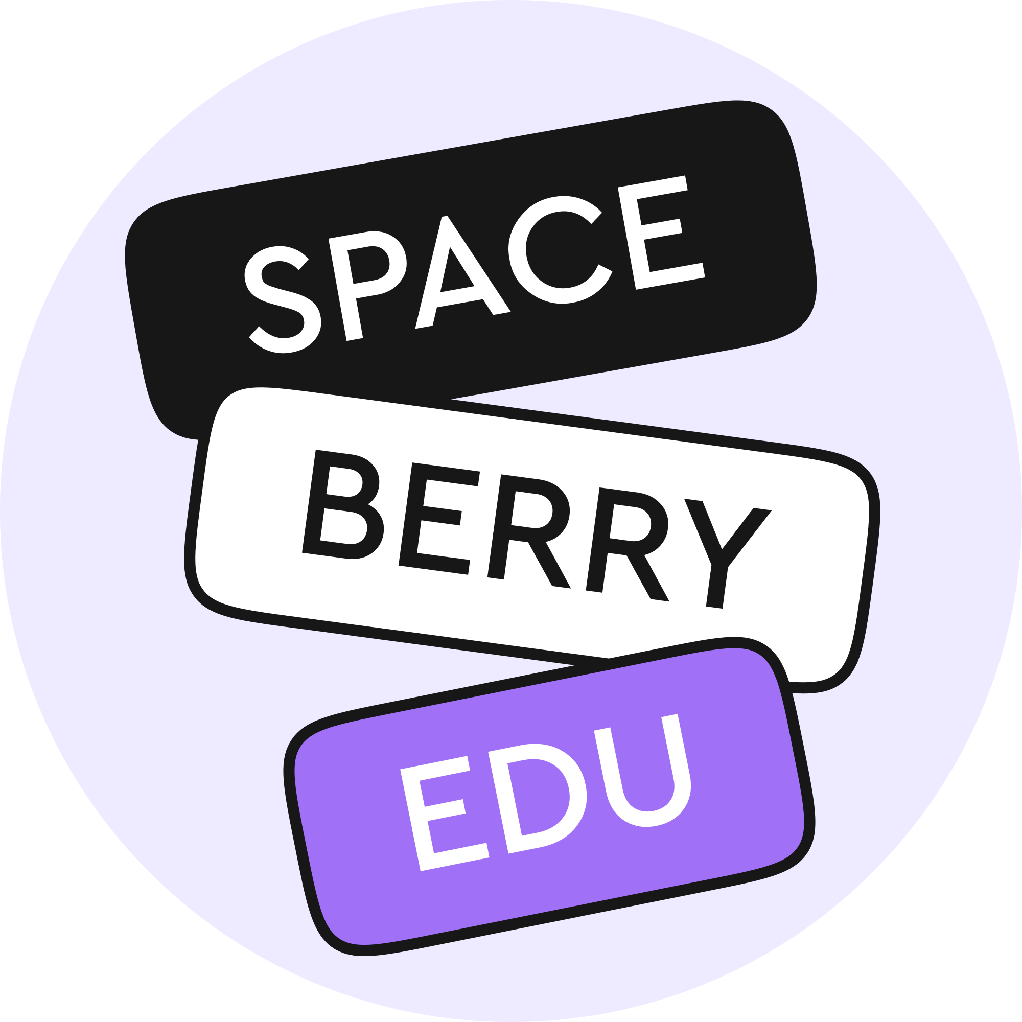 Spaceberry Education