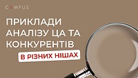 Приклади аналізу ЦА та конкурентів в різних нішах