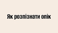 Як розпізнати опік