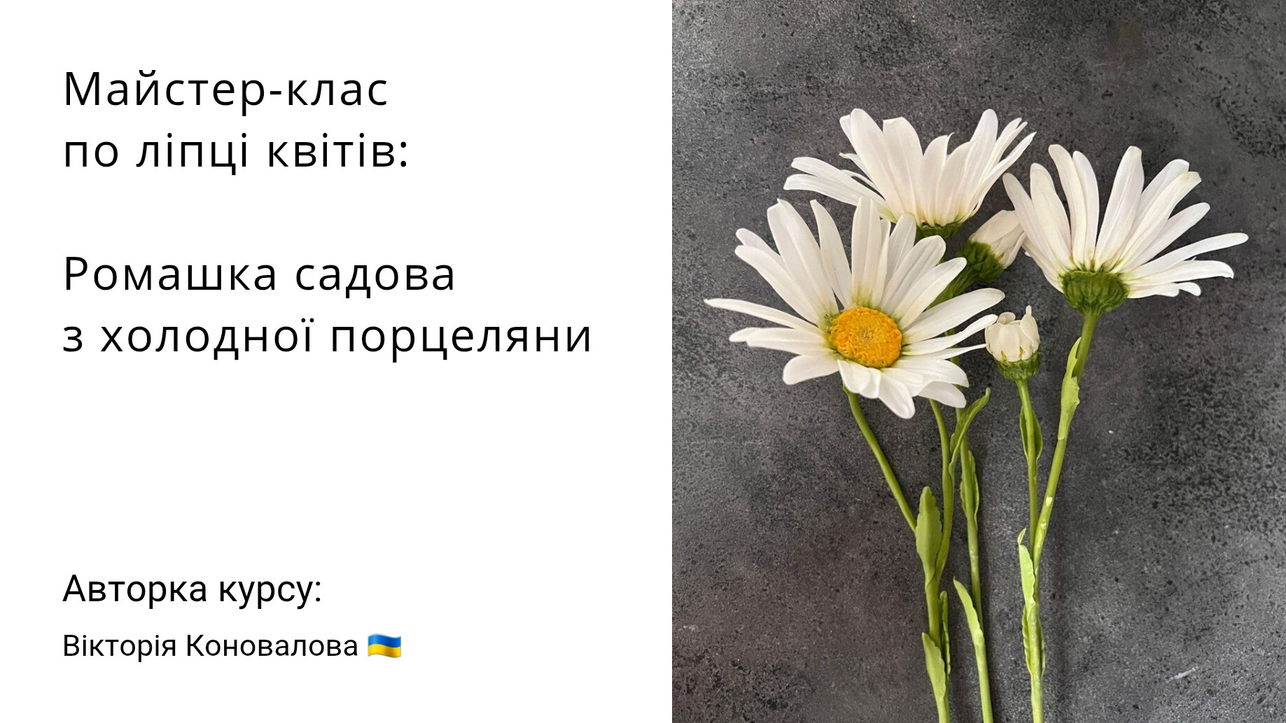 МК по ліпці ромашки садової