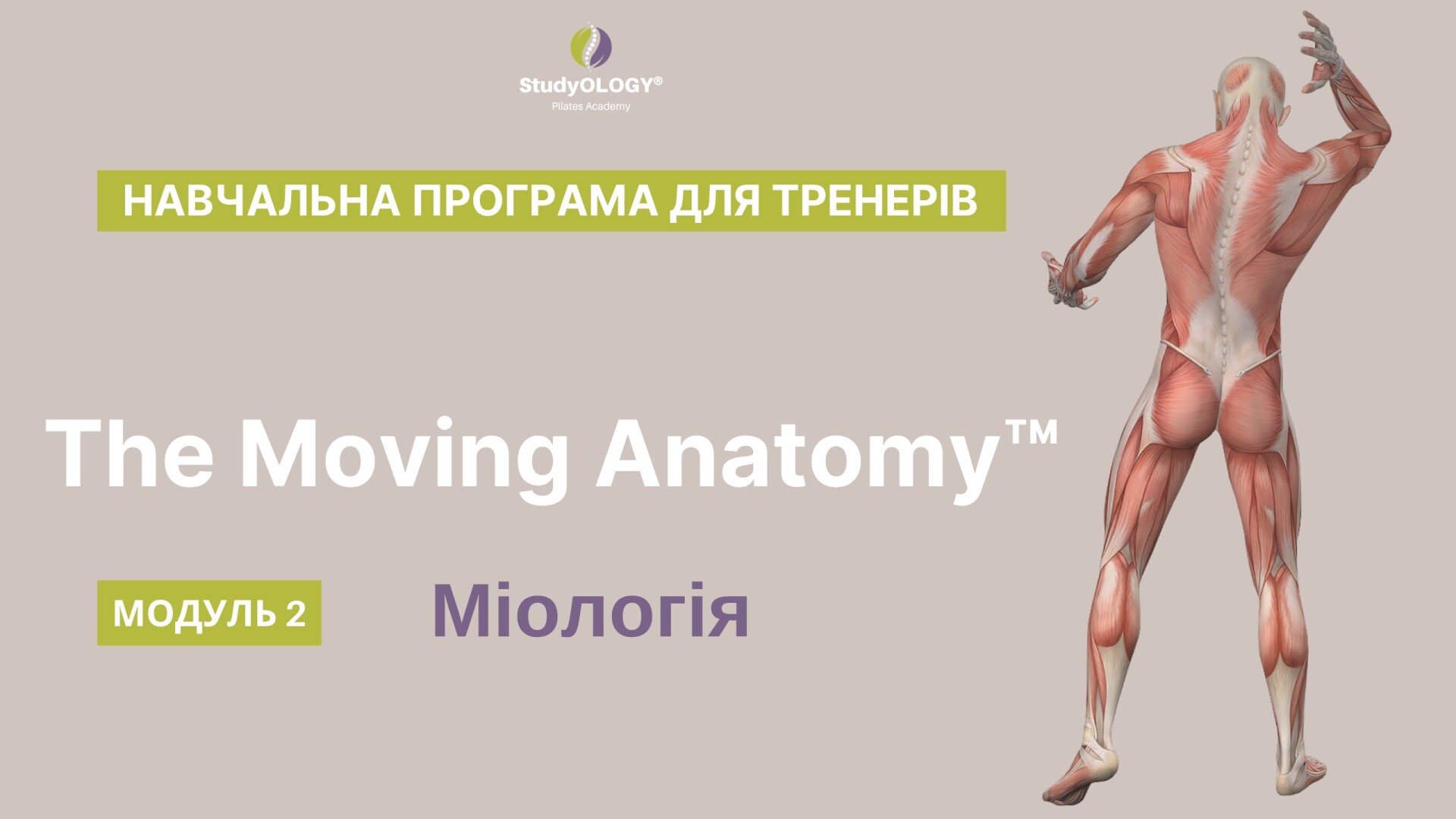 The Moving Anatomy™ | UA | МОДУЛЬ 2: "М’язи та Міологія"