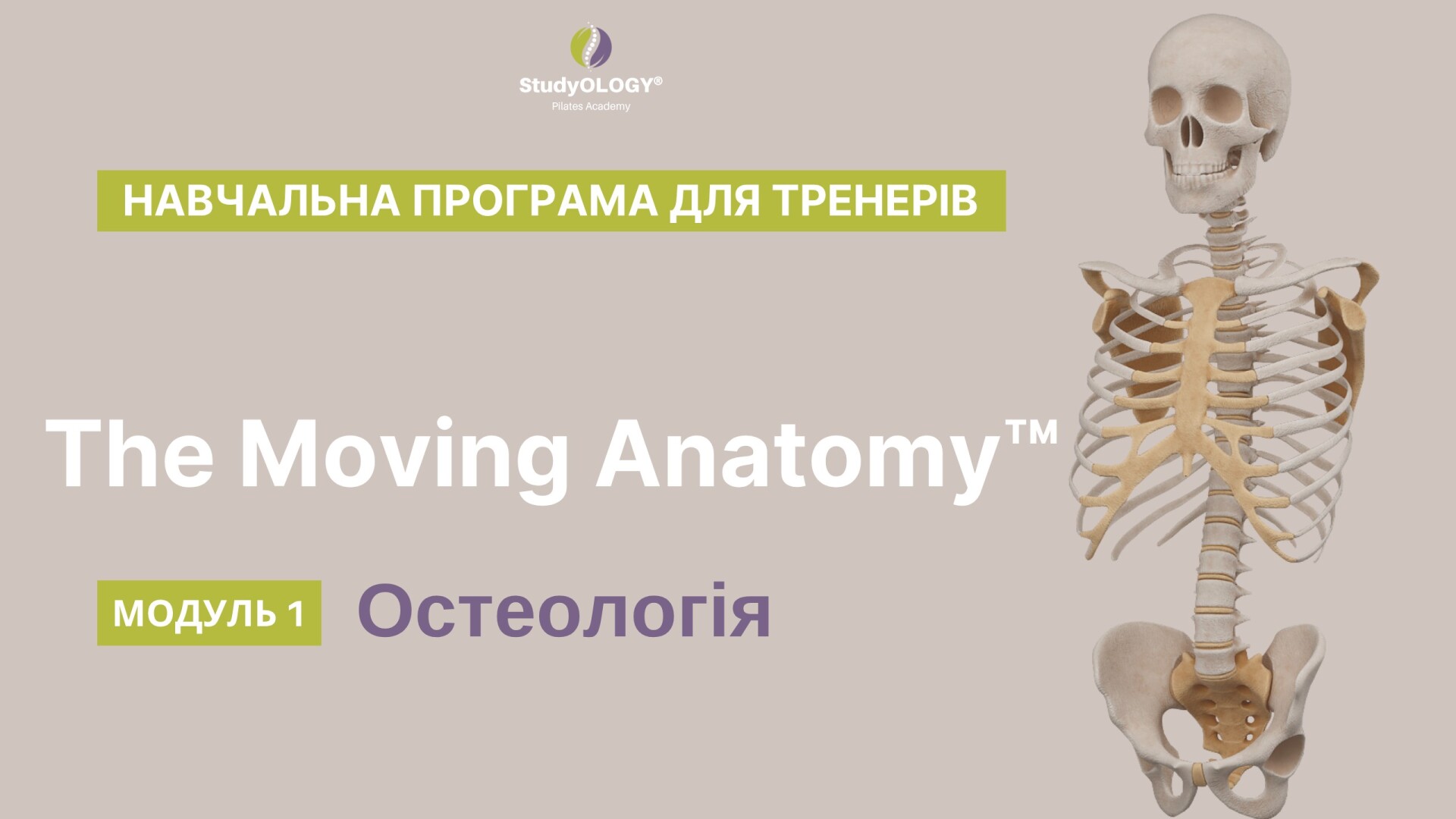 The Moving Anatomy™ | UA | МОДУЛЬ 1: "Скелет і Суглоби"