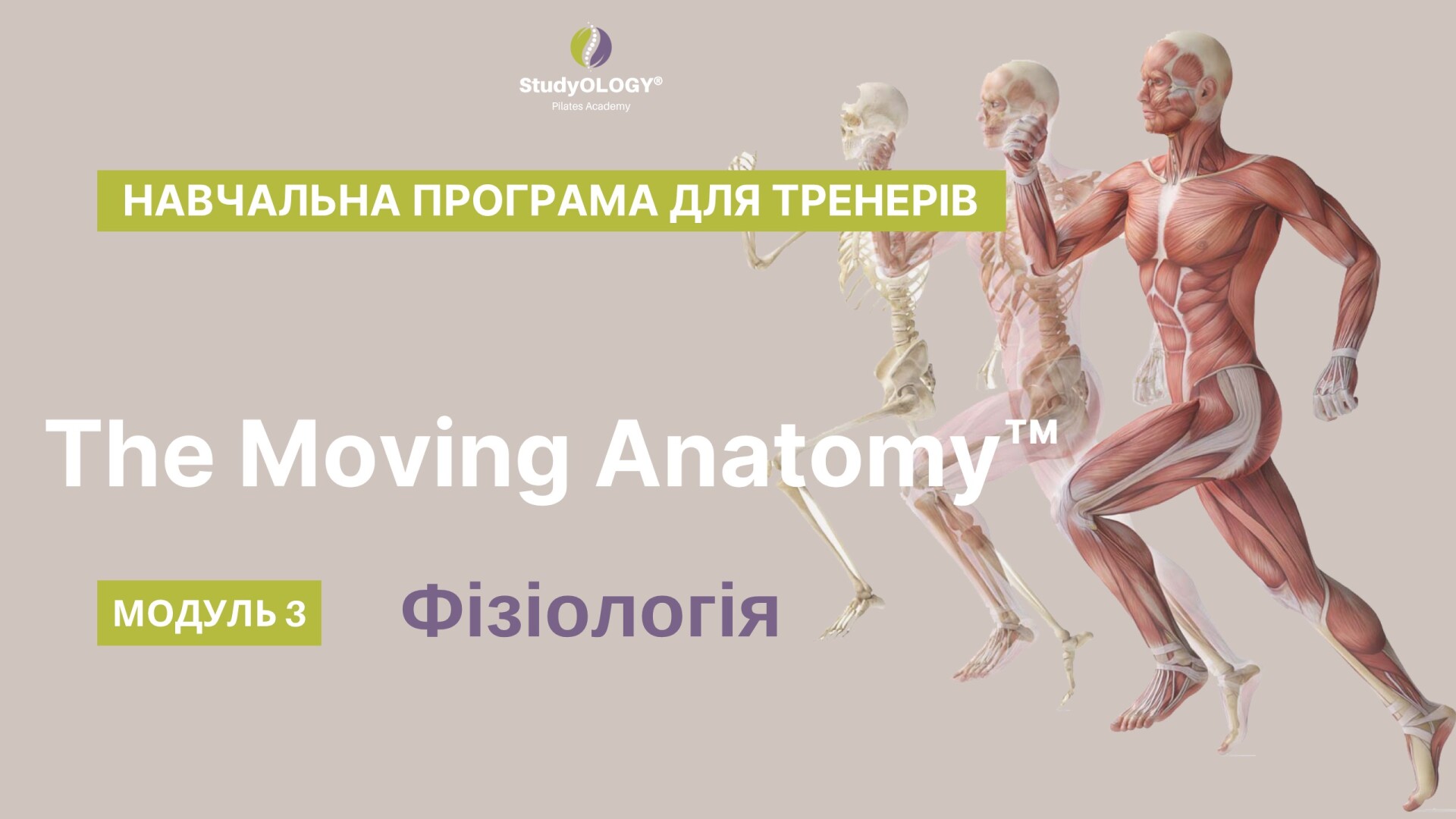 The Moving Anatomy™ | UA | МОДУЛЬ 3: "Фізіологія. Захворювння. Площини руху"