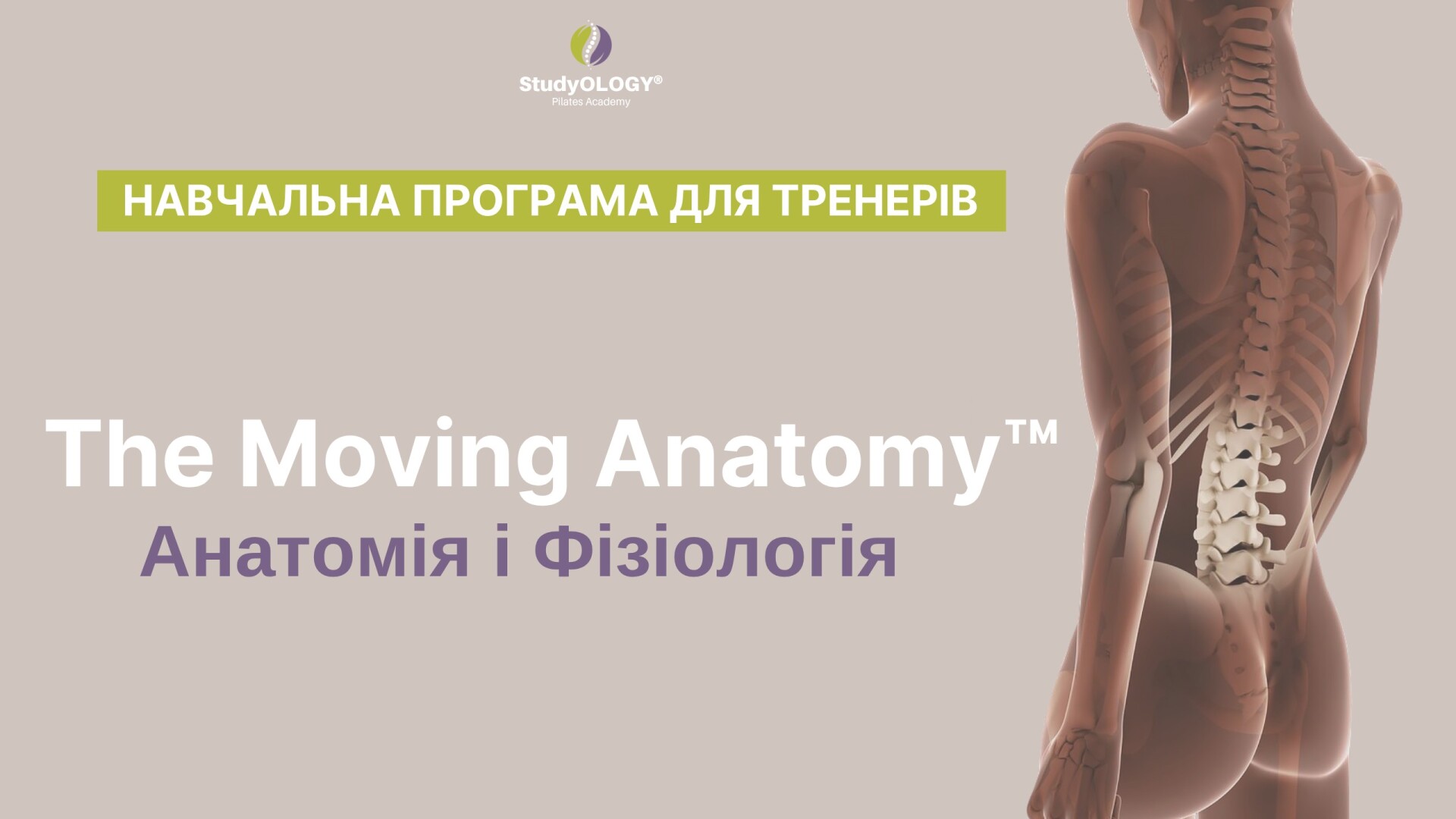 The Moving Anatomy™ | UA