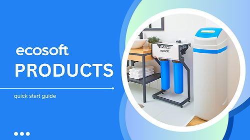 Ecosoft Products: quick start guide