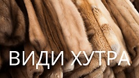 Урок 8.1. Види хутра (класу luxury)