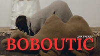 Урок 73. Boboutic. ДНК