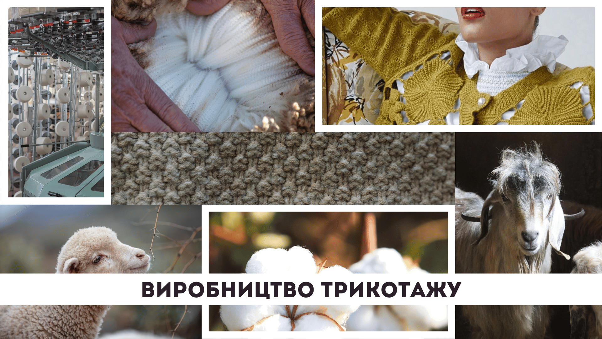 Item preview