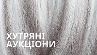 Урок 8.6. Хутряні аукціони