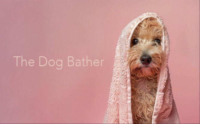 Dog Bather