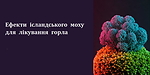 Презентація_Орасепт_