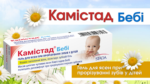 Камістад бебі_презентація та тестування