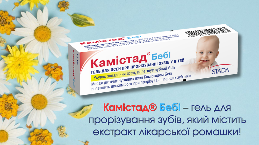 Камістад Бебі_(презентація та тестування)