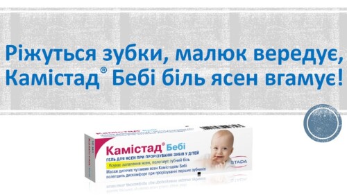 Камістад_бебі (презентація та тестування)