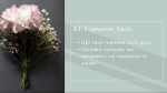 Item preview