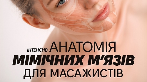 Інтенсив Анатомія мімічних м'язів для масажистів