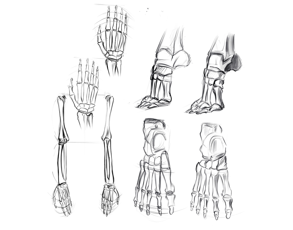 Модуль 1: 'Скелет' (у шафі)