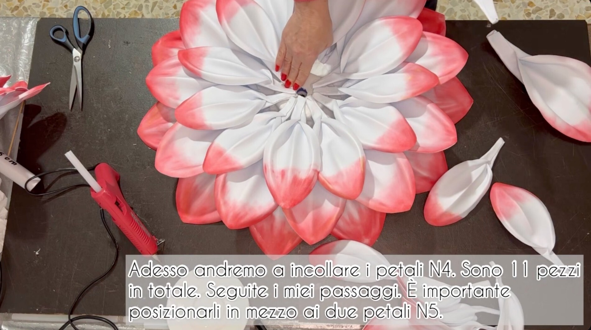 Video corso dalia gigante in gomma EVA