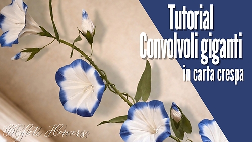 Convolvoli giganti in carta crespa (with English subtitles)