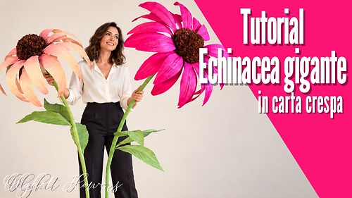 Echinacea gigante in carta crespa (with EN ES UA and RU subtitles)