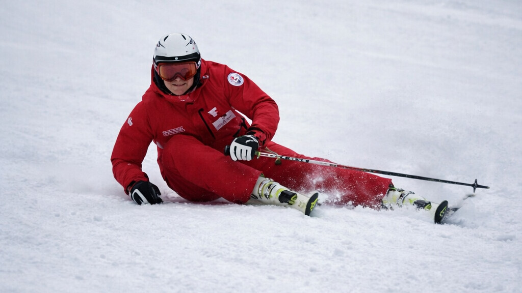 Ski Online Assistant