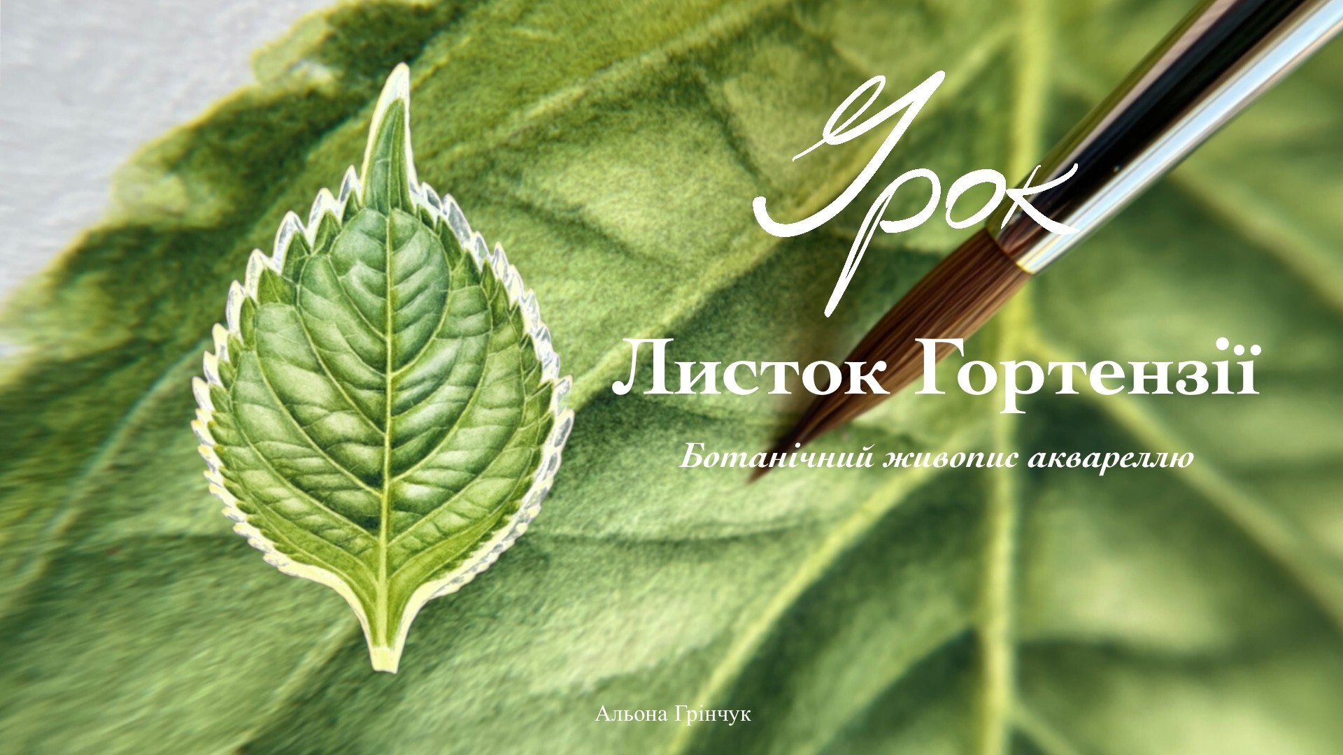 Урок 'Листок Гортензії'