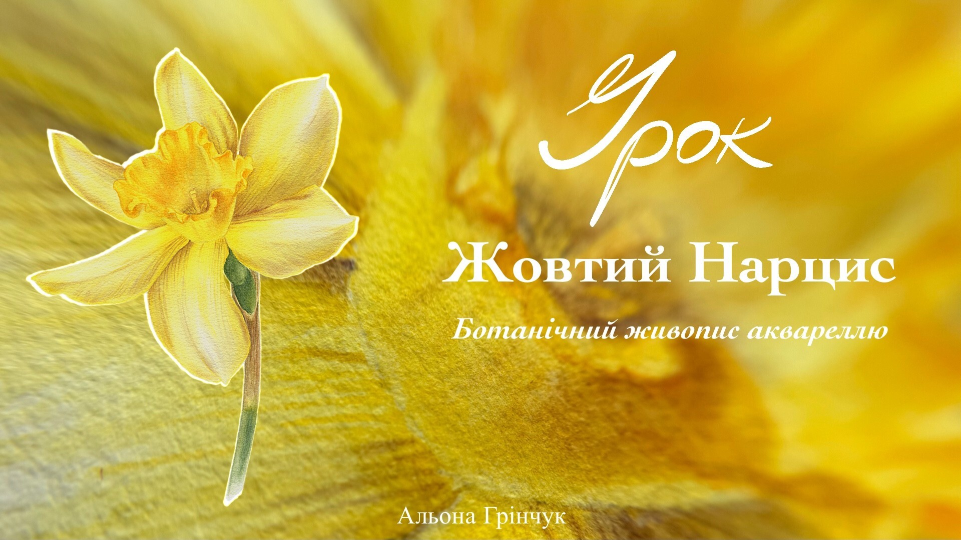 Урок «Жовтий Нарцис»