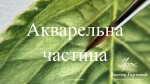 Акварельна частина