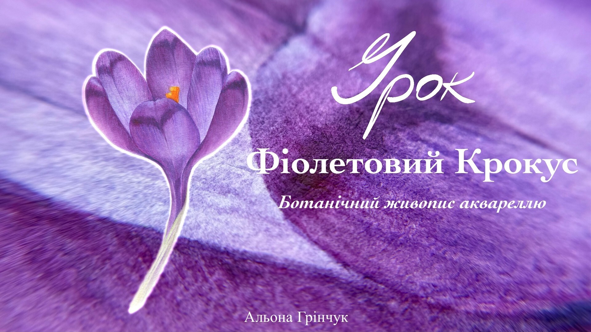Урок «Фіолетовий Крокус»