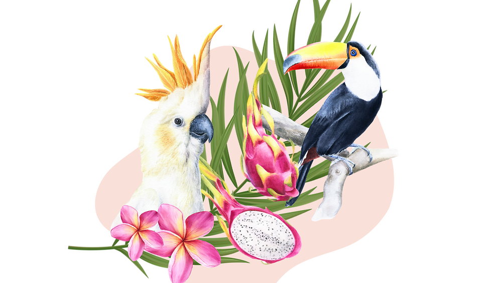 Курс 'Тропічний мікс' з Альоною Грінчук