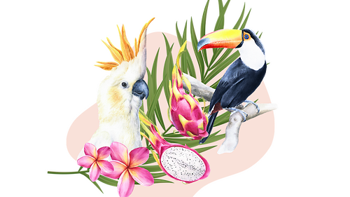 Курс 'Тропічний мікс' з Альоною Грінчук