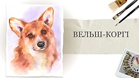 Бонусний урок: Вельш-коргі