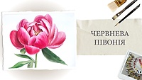 Урок 5. Июньский пион