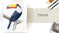 Урок 1. Тукан