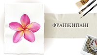 Пробний урок. Франжипані
