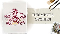 Урок 3. "Плямиста орхідея" від Наталії Купчик