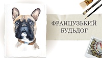 Урок 16. Французский бульдог