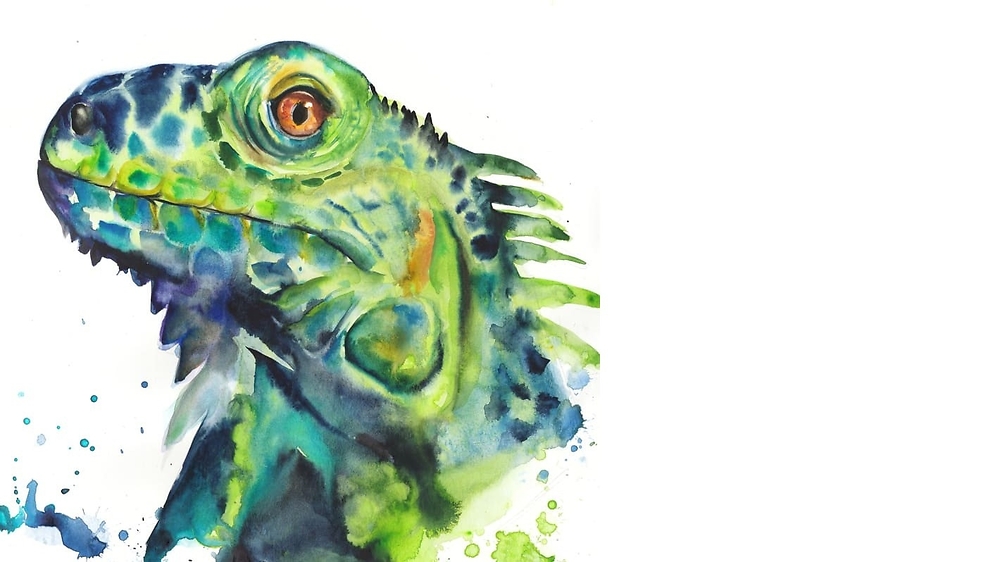 'Сафарі А-ля пріма' з Кароліною Бундаш