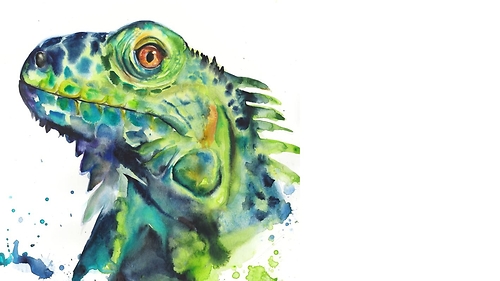 'Сафарі А-ля пріма' з Кароліною Бундаш