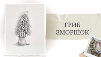 Урок 4. "Гриб зморшок" від Наталії Купчик